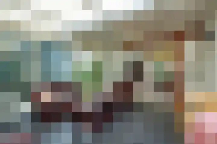 De Hietbrink 99 Emmen thumbnail 18