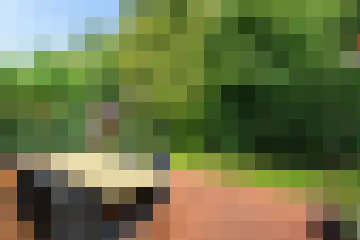 De Hietbrink 99 Emmen thumbnail 36
