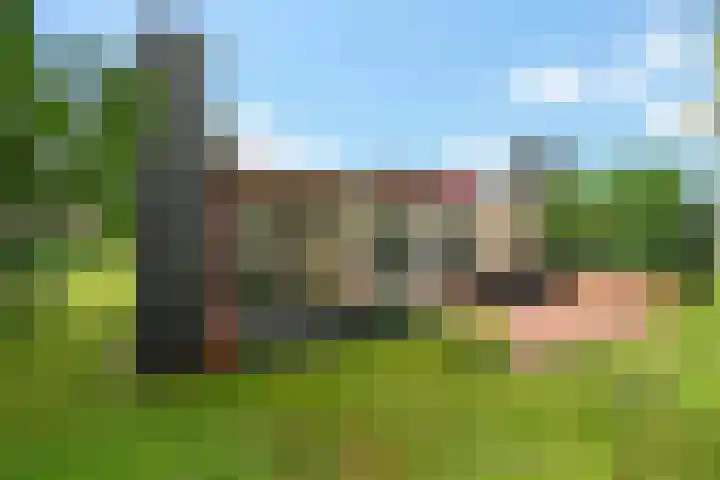 De Hietbrink 99 Emmen thumbnail 38