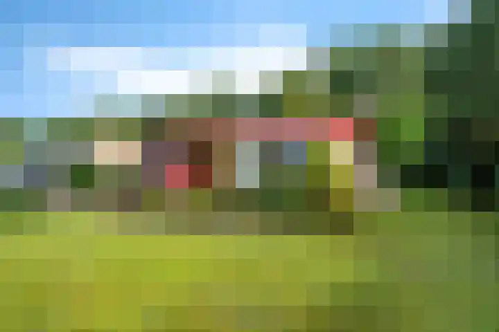 De Hietbrink 99 Emmen thumbnail 4