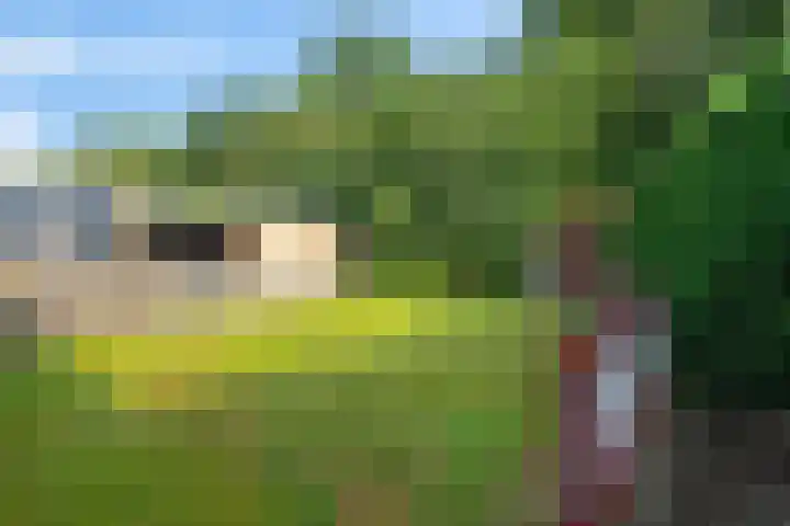 De Hietbrink 99 Emmen thumbnail 40