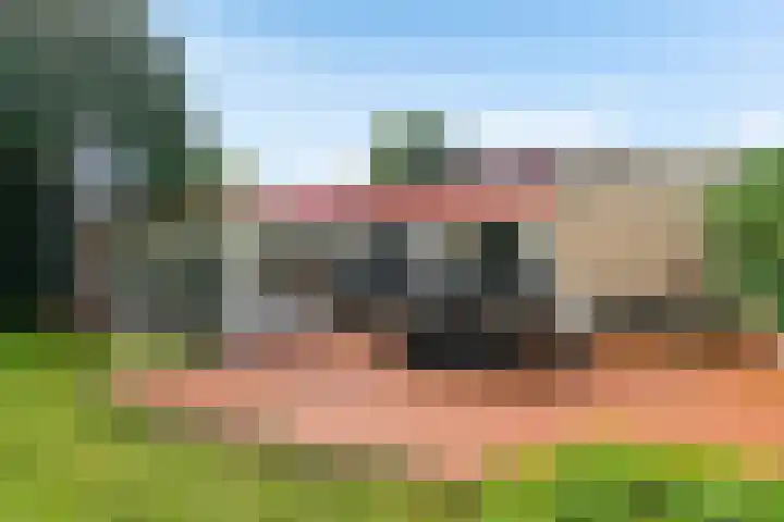 De Hietbrink 99 Emmen thumbnail 45