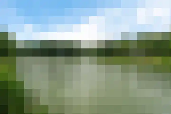 De Hietbrink 99 Emmen thumbnail 47