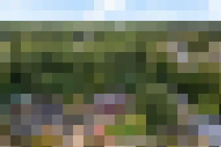 De Hietbrink 99 Emmen thumbnail 48