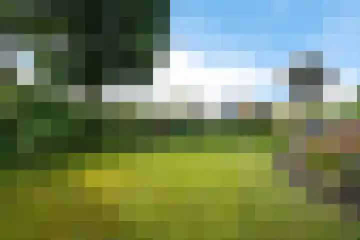 De Hietbrink 99 Emmen thumbnail 6