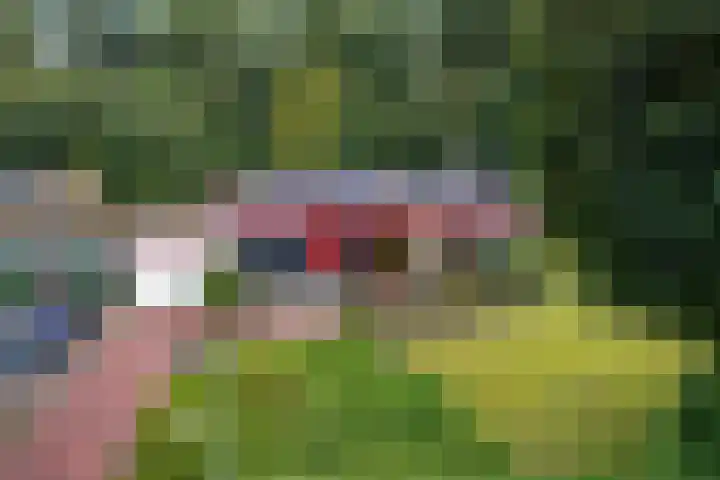 De Hietbrink 99 Emmen thumbnail 8