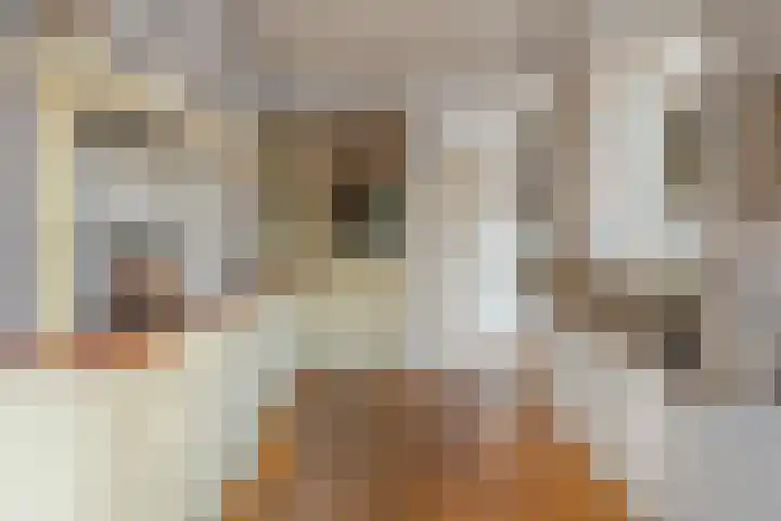 De Hilde 20 Nijeveen thumbnail 10