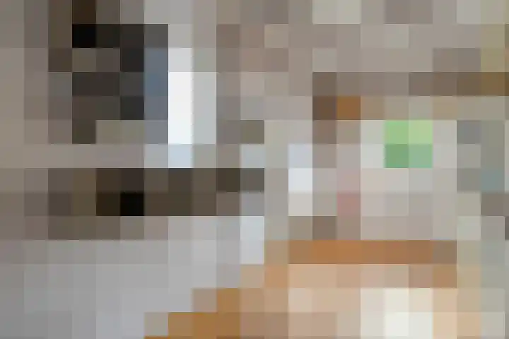 De Hilde 20 Nijeveen thumbnail 12
