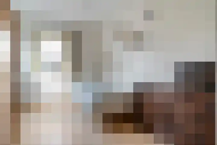De Hilde 20 Nijeveen thumbnail 22