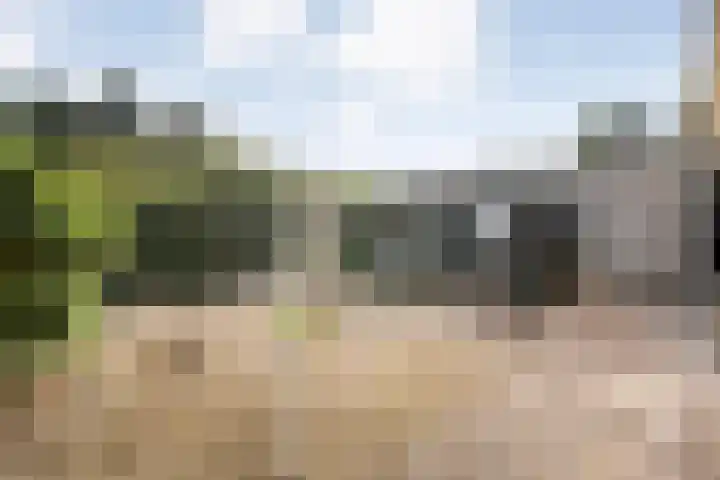 De Hilde 20 Nijeveen thumbnail 33