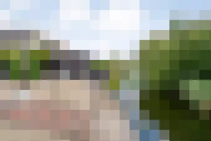 De Hilde 20 Nijeveen thumbnail 39