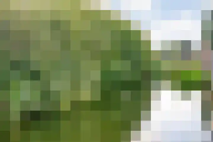 De Hilde 20 Nijeveen thumbnail 47