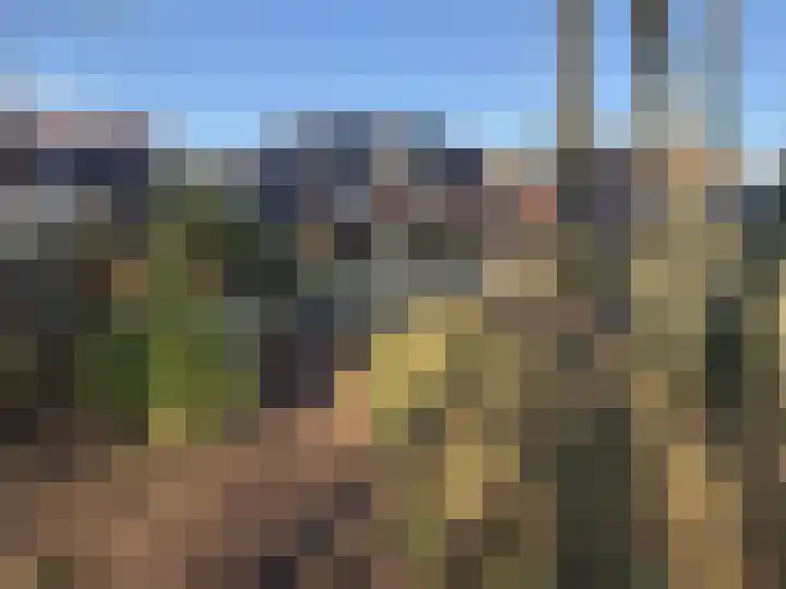 de Hilde 74 Zuidlaren thumbnail 21