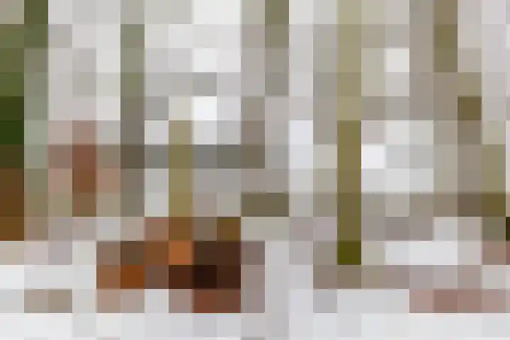 de Hilde 74 Zuidlaren thumbnail 24