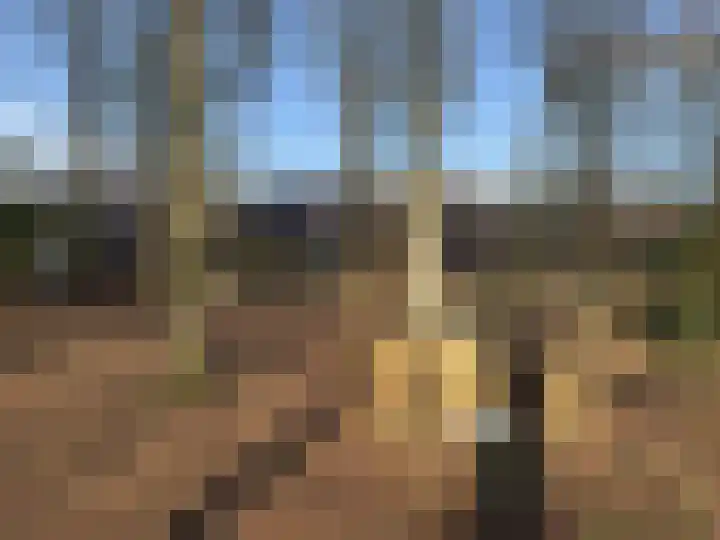 de Hilde 74 Zuidlaren thumbnail 25