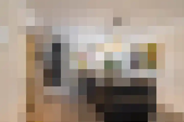 de Hilde 74 Zuidlaren thumbnail 41