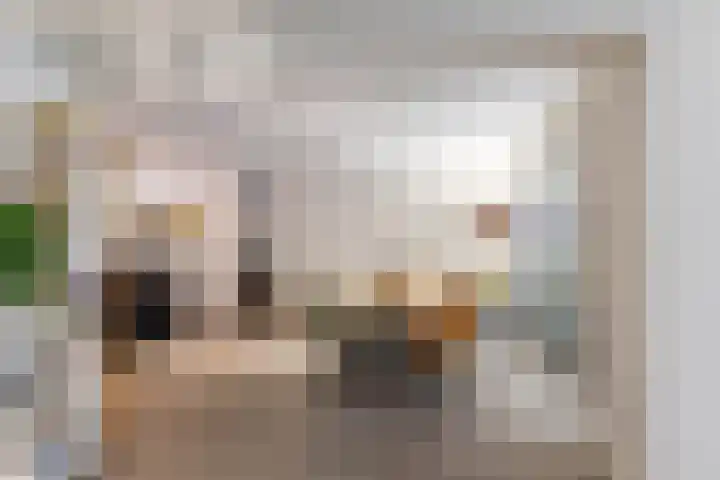 de Hilde 74 Zuidlaren thumbnail 47