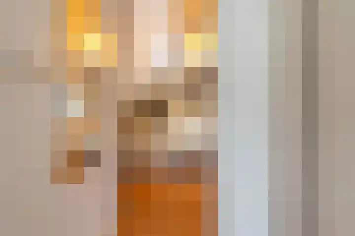 de Hilde 74 Zuidlaren thumbnail 70