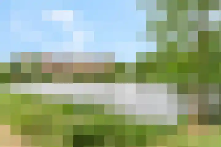 De Hoef 12 Malden thumbnail 31
