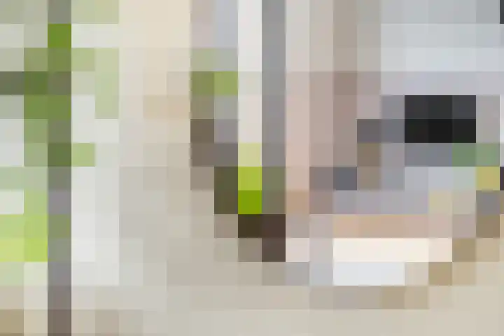 De Hoef 12 Malden thumbnail 9