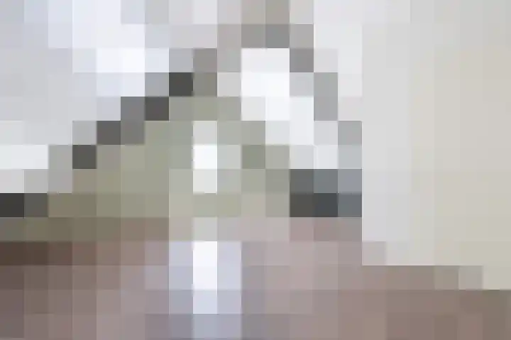De Hoef 13 Bergeijk thumbnail 18
