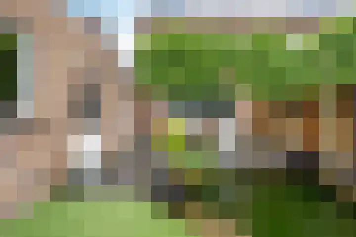 De Hoef 13 Bergeijk thumbnail 19