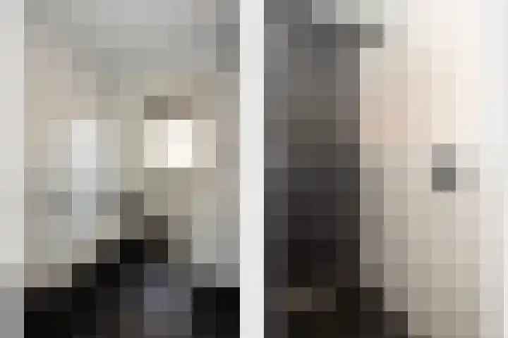 De Hoef 4 Bergeijk thumbnail 19