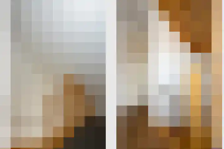 De Hoef 4 Bergeijk thumbnail 21