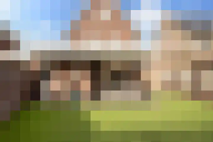 De Hoef 4 Bergeijk thumbnail 25