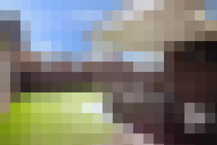 De Hoef 4 Bergeijk thumbnail 26