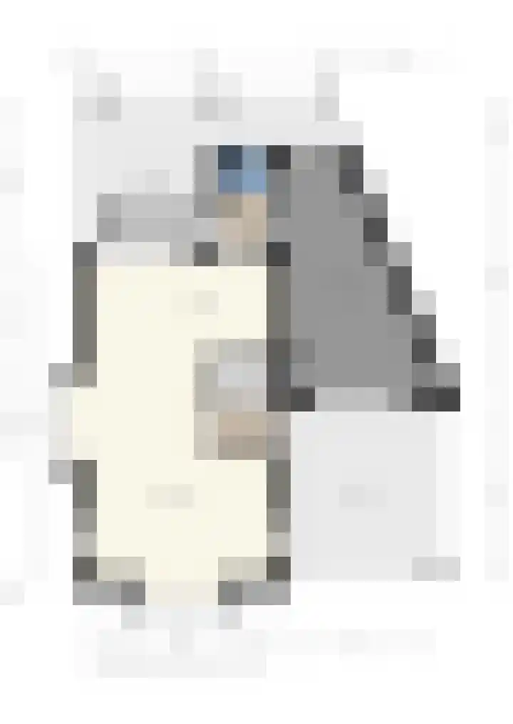 De Hoef 4 Bergeijk thumbnail 31
