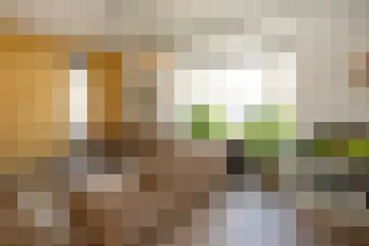 De Hoef 4 Bergeijk thumbnail 4