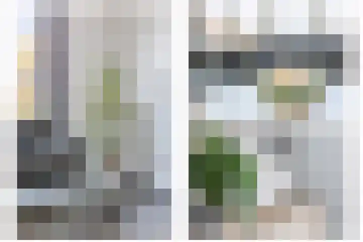 De Hoef 7 Bergeijk thumbnail 15
