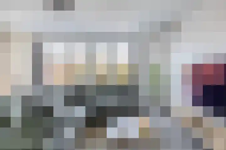 De Hoef 7 Bergeijk thumbnail 17