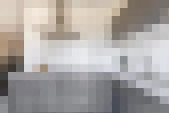De Hoef 7 Bergeijk thumbnail 24