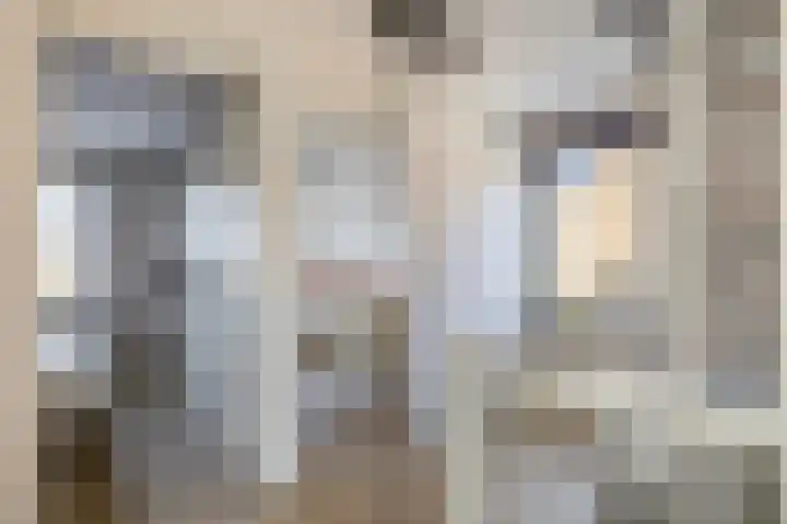 De Hoef 7 Bergeijk thumbnail 30