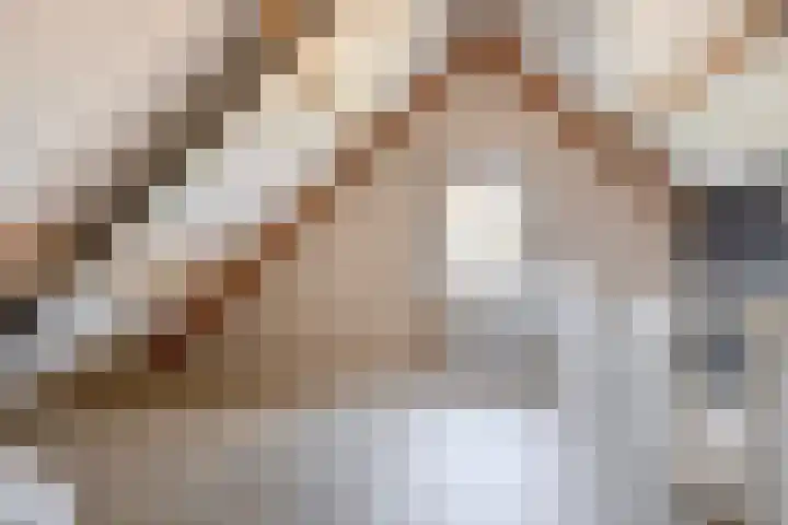 De Hoef 7 Bergeijk thumbnail 40