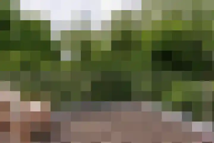 De Hoef 77 Malden thumbnail 29