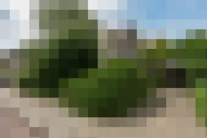 De Hoef 77 Malden thumbnail 4