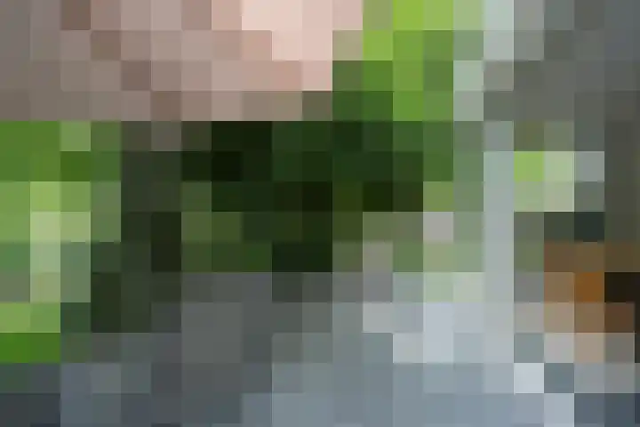 De Hoef 77 Malden thumbnail 42