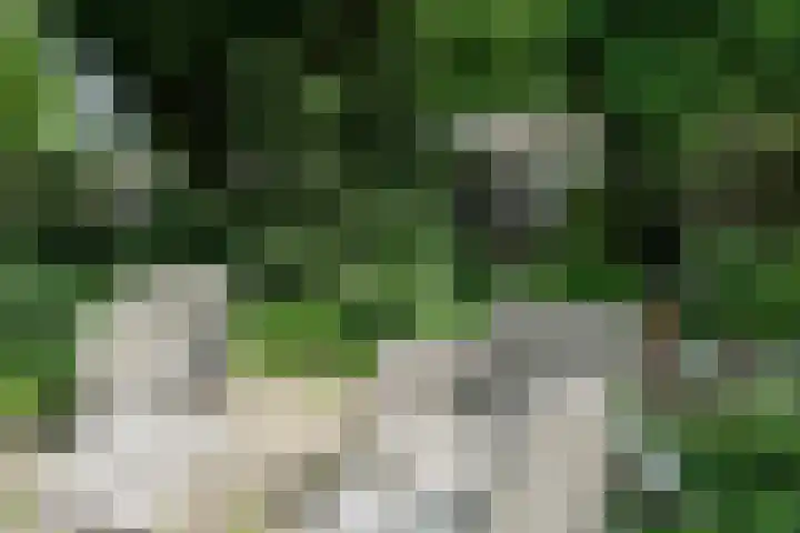 De Hoef 77 Malden thumbnail 48