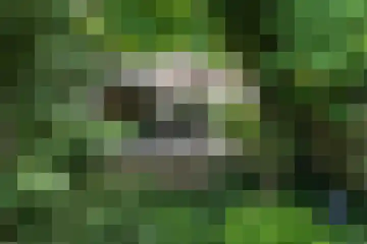 De Hoef 77 Malden thumbnail 49