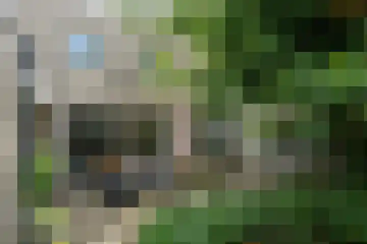 De Hoef 77 Malden thumbnail 52