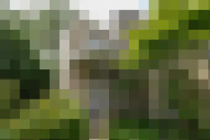 De Hoef 77 Malden thumbnail 58