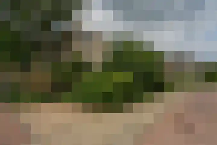 De Hoef 77 Malden thumbnail 59