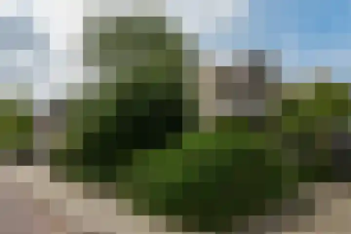 De Hoef 77 Malden thumbnail 60