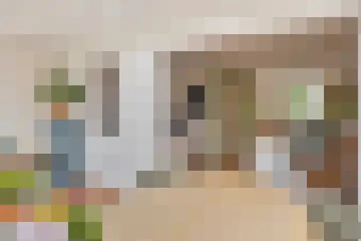 De Hoefslag 7 Dronten thumbnail 17