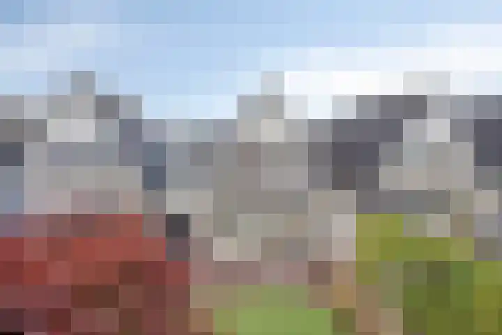 De Hoefslag 7 Dronten thumbnail 39