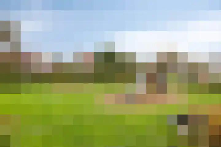 De Hoefslag 7 Dronten thumbnail 45