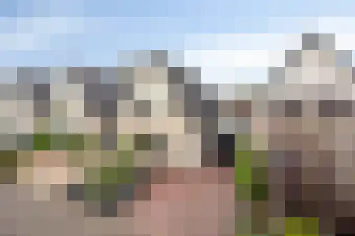 De Hoefslag 7 Dronten thumbnail 5